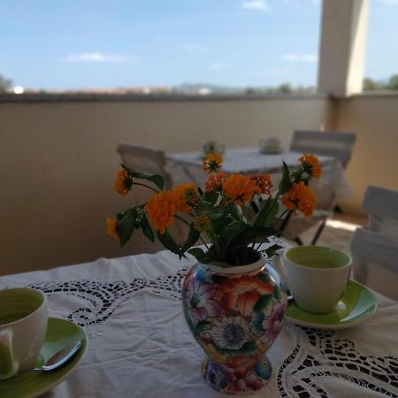 La Casa Dei Fenicotteri Bed and Breakfast Όλμπια Εξωτερικό φωτογραφία