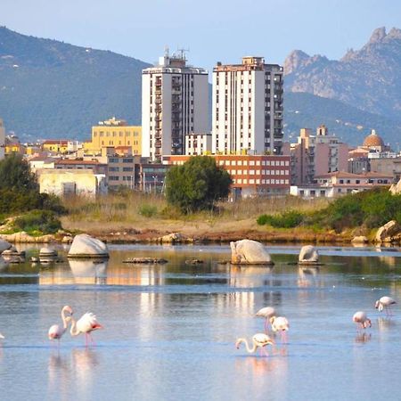 La Casa Dei Fenicotteri Bed and Breakfast Όλμπια Εξωτερικό φωτογραφία