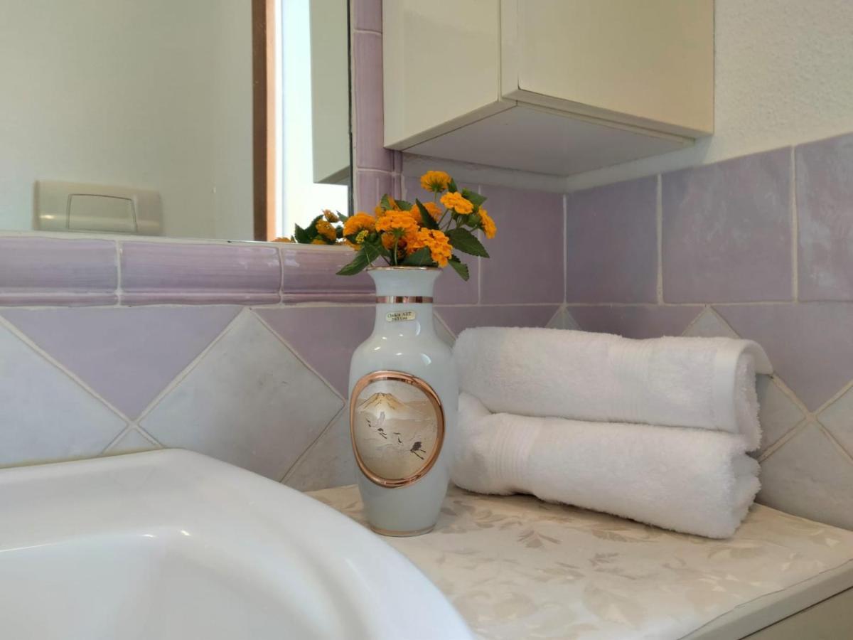La Casa Dei Fenicotteri Bed and Breakfast Όλμπια Εξωτερικό φωτογραφία